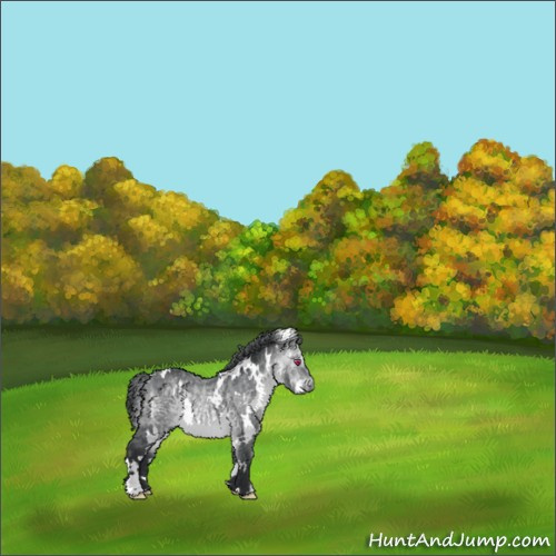 Horse Color:White Spotted Bay Chinchilla 