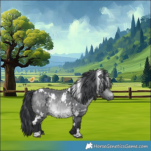 Horse Color:White Spotted Brown Chinchilla 