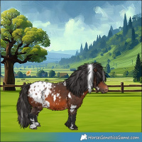 Horse Color:White Spotted Brown Blanket 