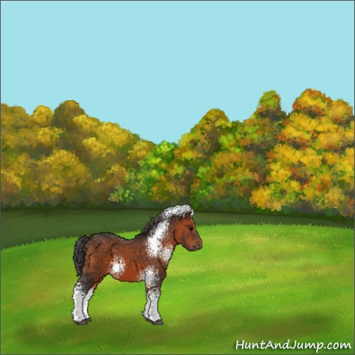 Horse Color:White Spotted Brown 