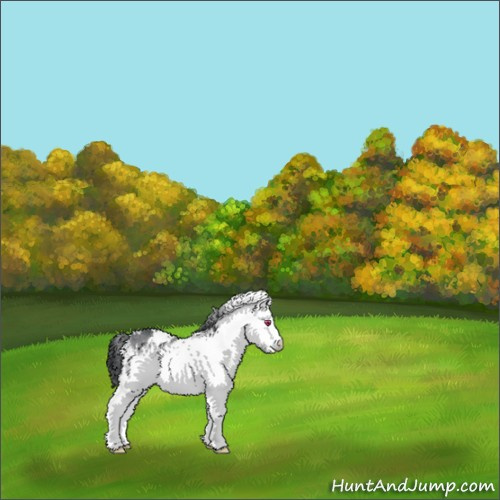 Horse Color:White Spotted Bay Chinchilla 