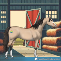 Horse Color:Bay Dun 