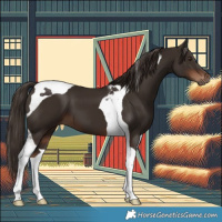 Horse Color:Liver Chestnut Tobiano 