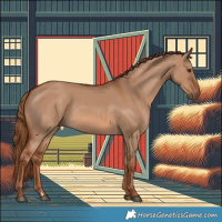 Horse Color:Red Dun 