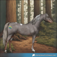 Horse Color:Liver Chestnut Tobiano Varnish 