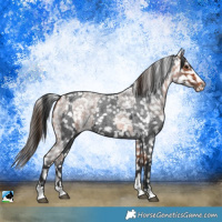 Horse Color:Blue Roan Snowflake Varnish  and Bay Roan Snowflake Varnish 