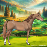 Horse Color:Red Dun Tobiano Appaloosa