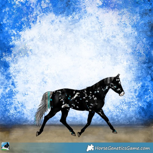 Horse Color:White Spotted Buckskin Ice Onyx Sabino Appaloosa Rabicano and White Spotted Brown Ice Onyx Sabino Appaloosa Rabicano