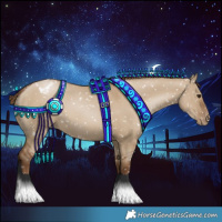 Horse Color:Gray Grullo Pearl Appaloosa 