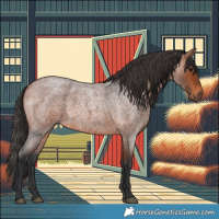 Horse Color:Bay Roan 