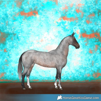 Horse Color:Brown Roan Sabino Rabicano