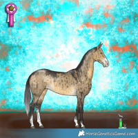 Horse Color:Buckskin Dun Sabino Rabicano Brindle