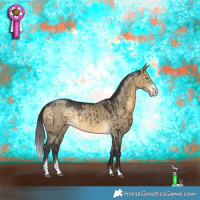 Horse Color:Buckskin Dun Sabino Rabicano Brindle 