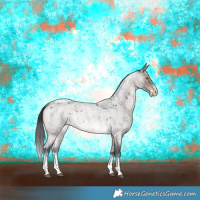 Horse Color:Brown Roan Dun Sabino Rabicano