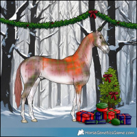 Horse Color:Plaid  Liver Red Onyx Tobiano 