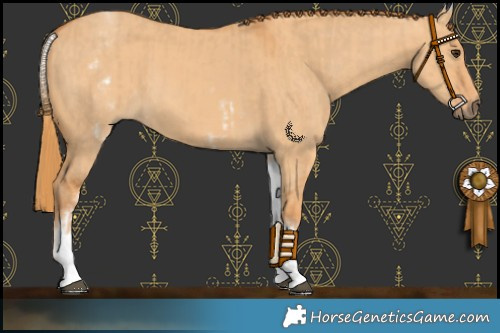 Horse Color:White Spotted Red Dun Rabicano  and White Spotted Red Dun Rabicano 