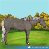 Horse Color:Silver Black 
