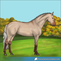 Horse Color:Silver Bay Dun 