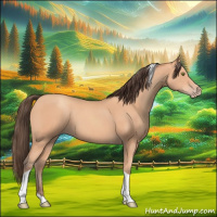 Horse Color:Amber Champagne Tobiano 