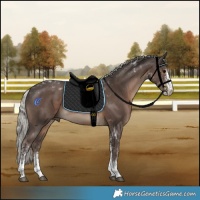 Horse Color:White Spotted Silver Black Tobiano 