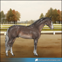 Horse Color:White Spotted Silver Black Tobiano 