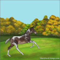 Horse Color:Silver Brown Tobiano 