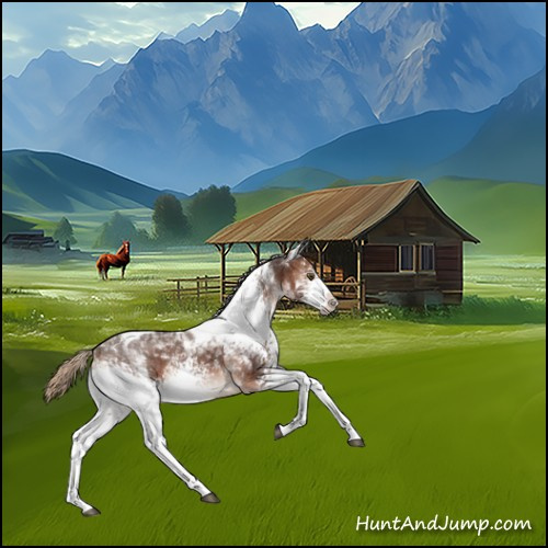 Horse Color:White Spotted Liver Chestnut Tobiano 