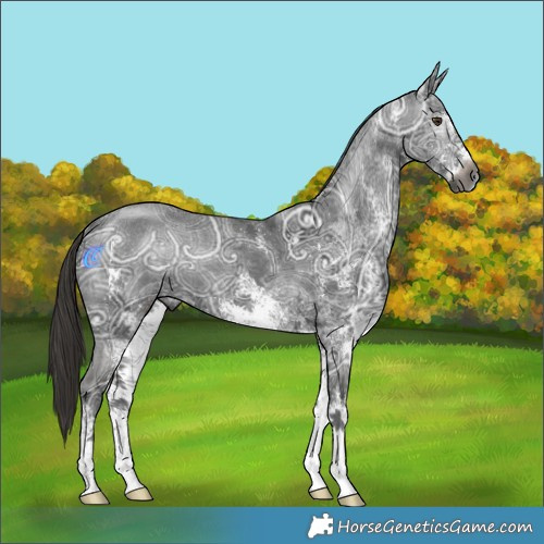 Horse Color:Gray White Spotted Liver Chestnut Ice 