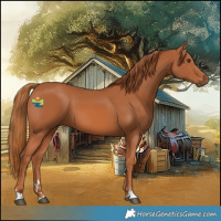 Horse Color:Chestnut 