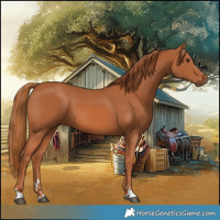 Horse Color:Chestnut 