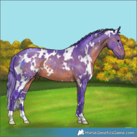 Horse Color:Watercolor White Spotted Brown 