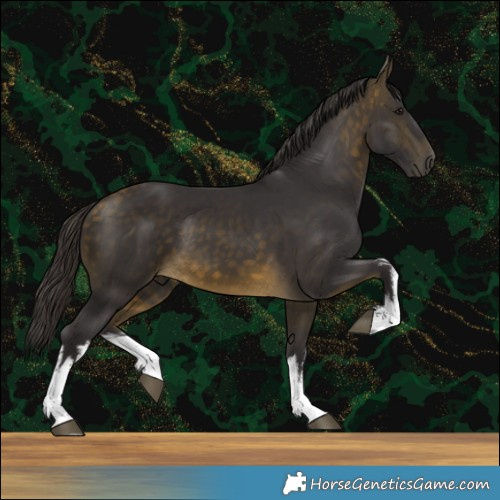 Horse Color:White Spotted Buckskin 