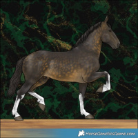 Horse Color:White Spotted Buckskin 