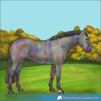 Horse Color:Nacre Smoky Grullo 