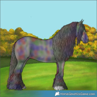 Horse Color:Nacre Smoky Grullo 