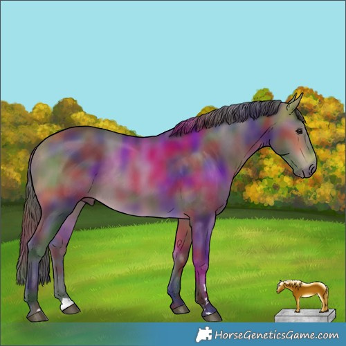 Horse Color:Nacre Buckskin 