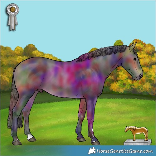 Horse Color:Nacre Buckskin 