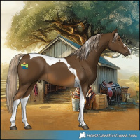 Horse Color:Chocolate Palomino Tobiano 