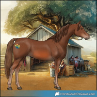 Horse Color:Chestnut 