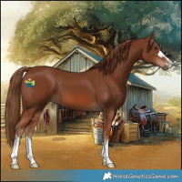 Horse Color:Chestnut 