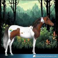 Horse Color:Bay Tobiano 
