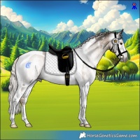 Horse Color:Gray Chocolate Palomino Sabino Tobiano Rabicano