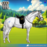 Horse Color:Gray Chocolate Palomino Sabino Tobiano Rabicano