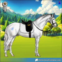 Horse Color:Gray Chocolate Palomino Sabino Tobiano Rabicano 