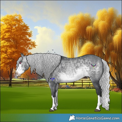 Horse Color:Silver Brown Chinchilla Sabino Splash 