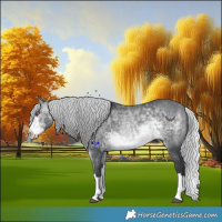Horse Color:Silver Brown Chinchilla Sabino Splash 