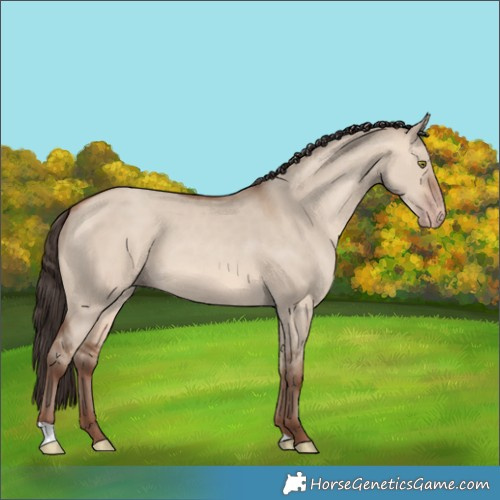 Horse Color:Sable Champagne Dun 