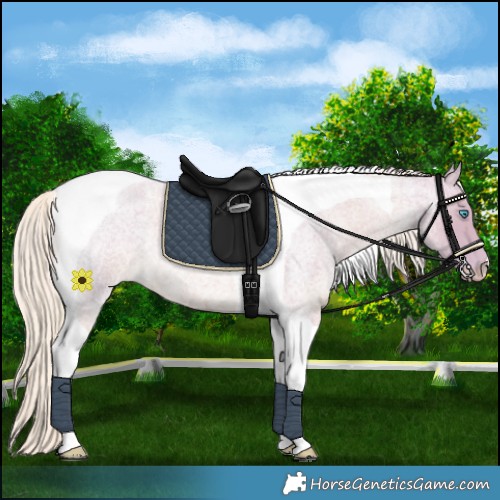 Horse Color:Watercolor Cremello Roan Tobiano 