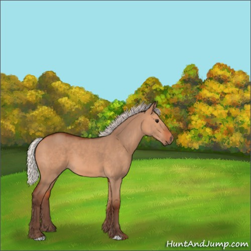 Horse Color:Silver Bay Dun 