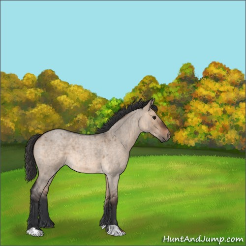 Horse Color:Brown Roan Dun 